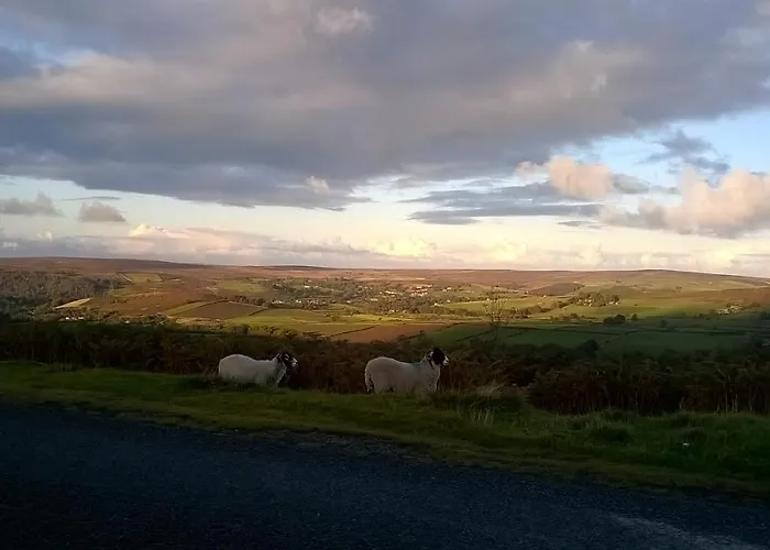 Casa vacanze Holly *